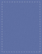 blue stitched panels