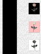 rose floral memorial scrapbook papers to download femenine flowers