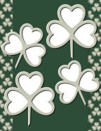 saint patricks 4 leaf clovers aplenty 